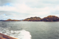 576: Red Island (offshore). "Goat (Gull) Island". (2002) [courtesy of Heather Walsh]